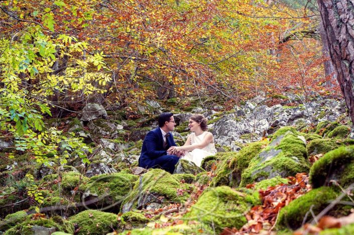 Mariage, couple, forêt, nature Le Chambon-sur-Lignon, Beaux, Haute-Loire, Auvergne